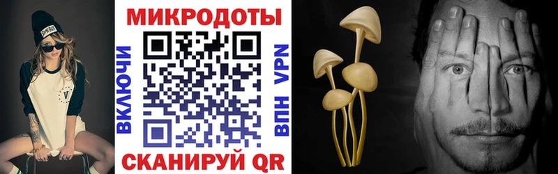 blacksprut ТОР  Сатка  Псилоцибиновые грибы MAGIC MUSHROOMS 