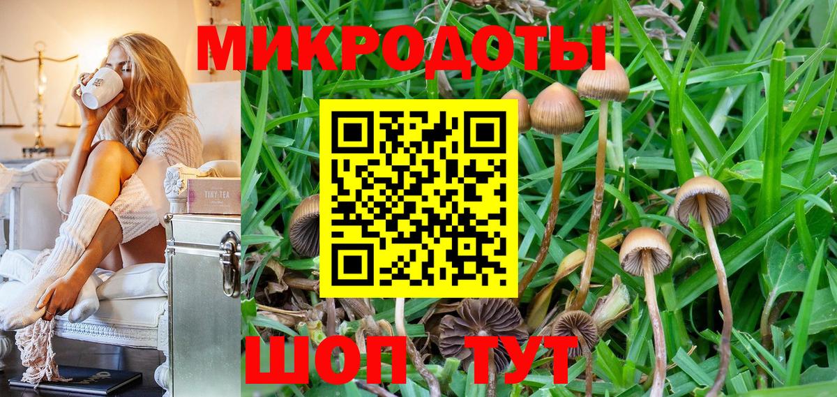 Галлюциногенные грибы Psilocybine cubensis Сатка