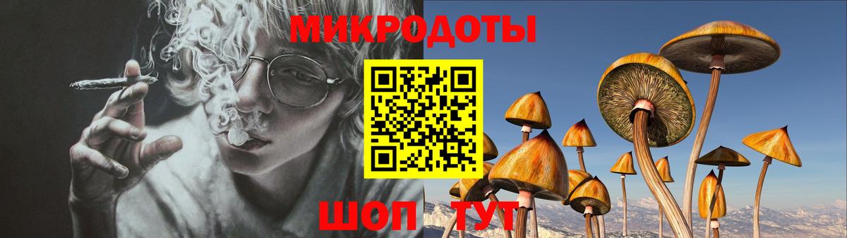 Галлюциногенные грибы Psilocybine cubensis  Сатка 